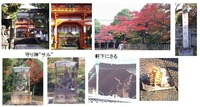 新日吉神社1