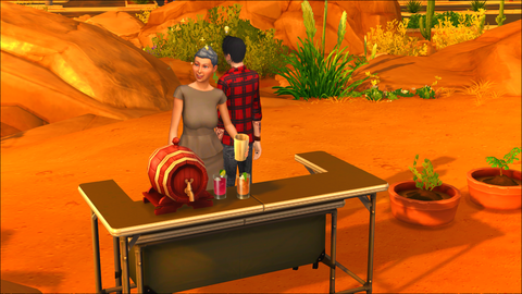sims420170614-047