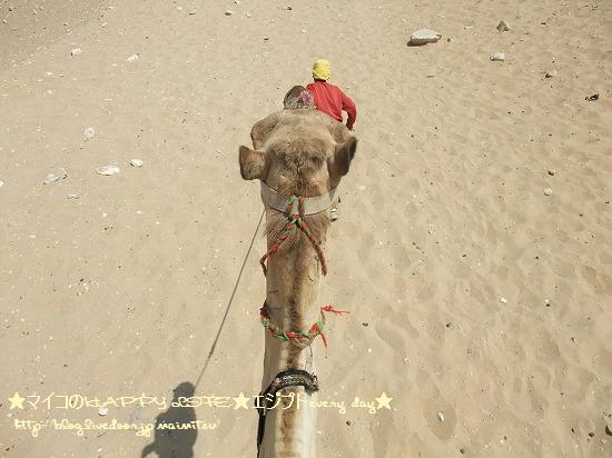 ◇エジプト旅行記 ラクダで砂漠をお散歩◇ : ☆マイコのHAPPY LIFE