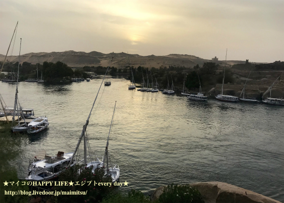 sIMG_0775