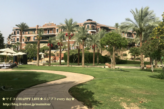 sIMG_9991