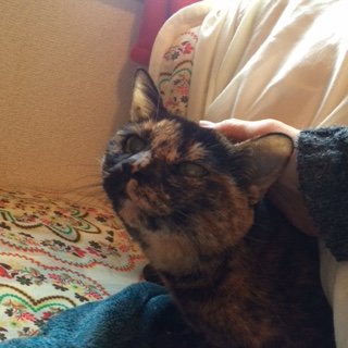 20150101ぴぴ1
