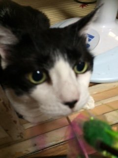 20150814ももち2