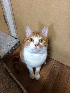 20170218もも6号2