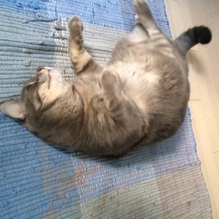 20141212ぎどら2