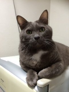 20151019きんぐぎどら1