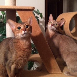 20141230とま2