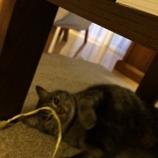 20150207ハル2