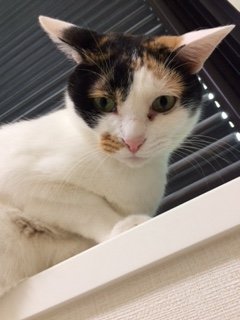 20180914こはるり2