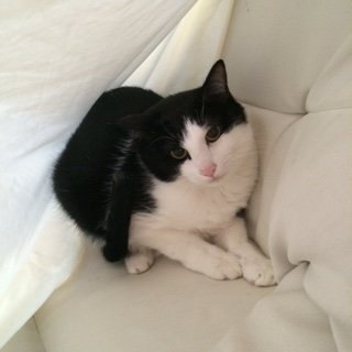 20141205ちび