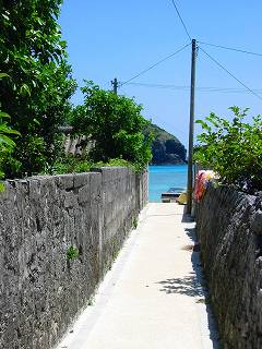 s-Img_0780-06