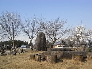 R0059668