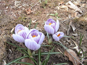 RIMG0090