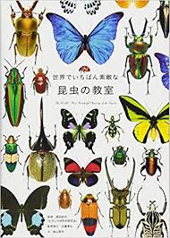 ダウンロード (2)