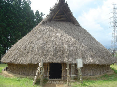 tateana3