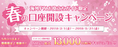 cashback_spring_main
