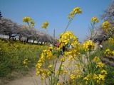 0330佐奈川01