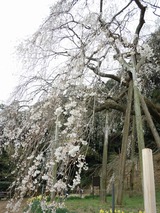 0331奥山田01