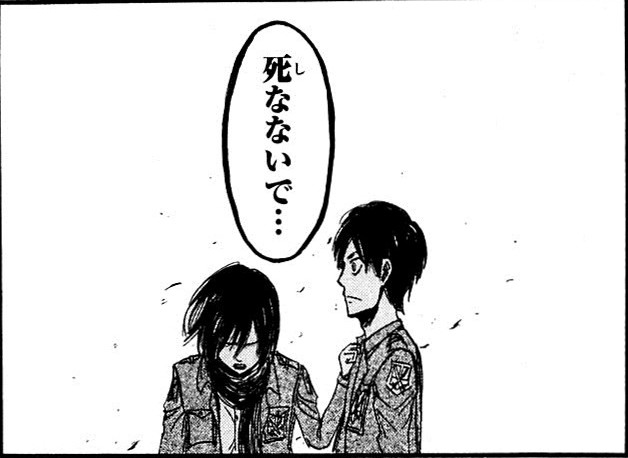 mikasa_01