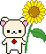 ¤³¤ê¡¡¸þÆü°ª