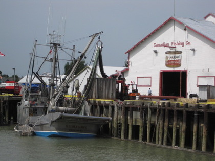 Steveston