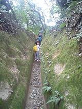 28a70696.jpg