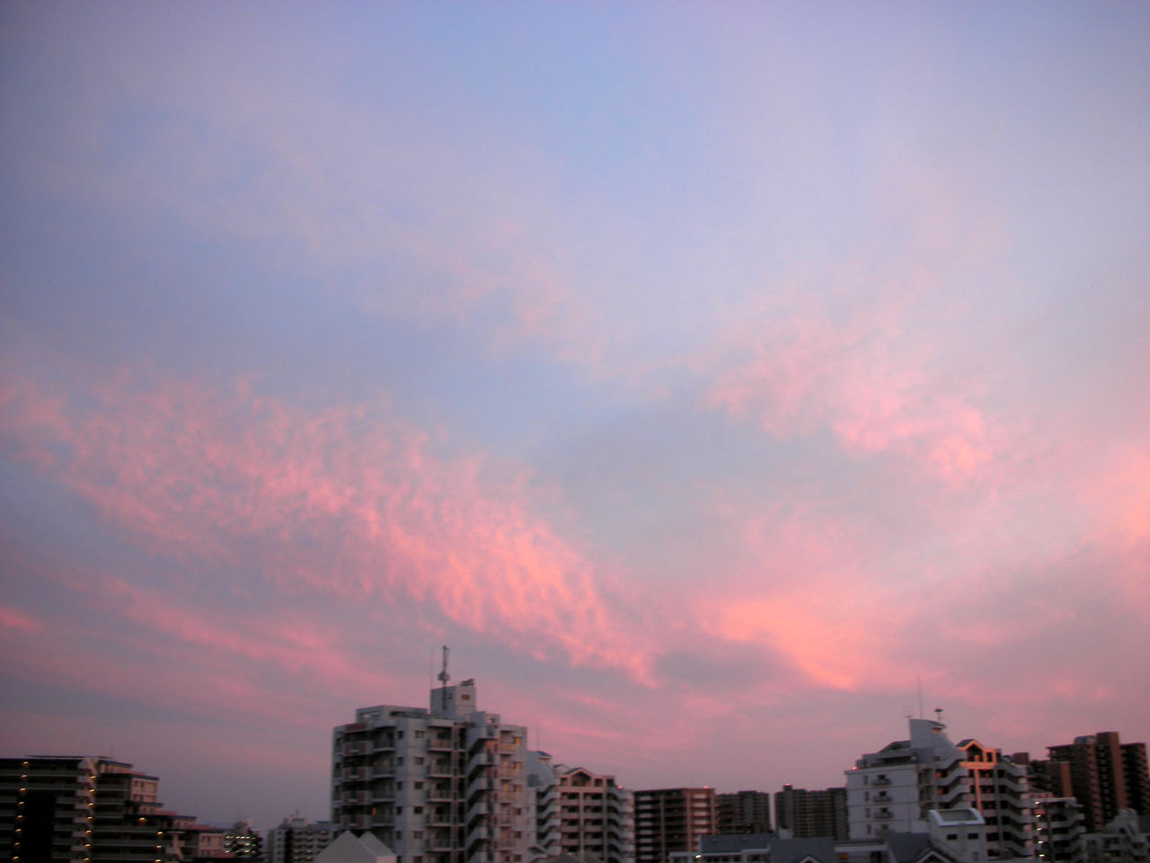 DSCN2609