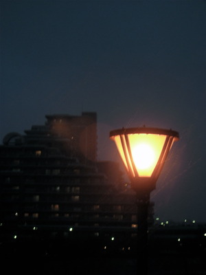 DSCN2229