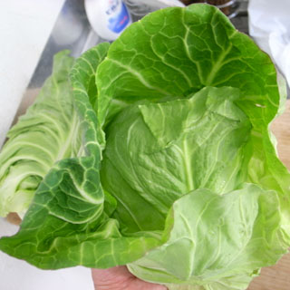 00R0010089.jpg