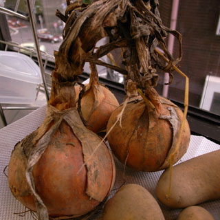 00R0010154.jpg