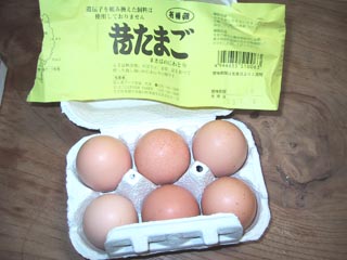 10b.有精卵です.jpg