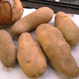 00R0010155.jpg