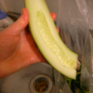 00R0010196.jpg