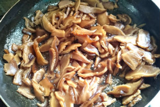 photo-01