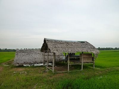 P1000937