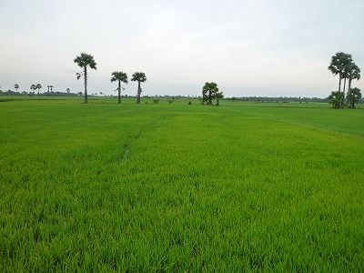 P1000932