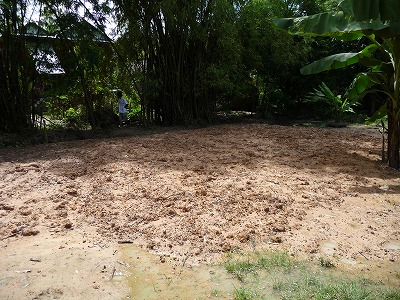 bd175d13.jpg