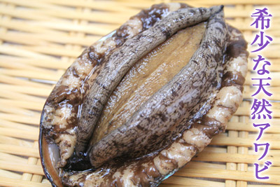 photo_04