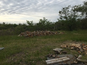 IMG_3297