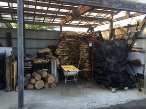 IMG_3791
