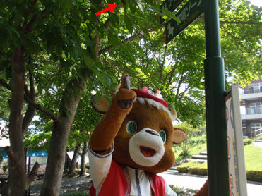 20100830