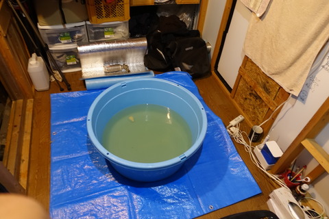 20180409204607