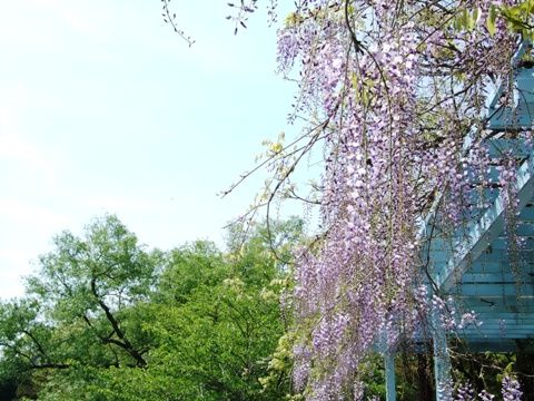 DSCF3577_S