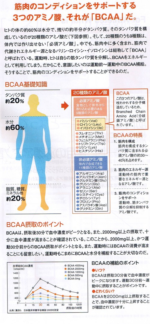 BCAA 008