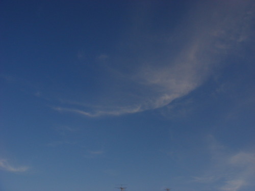 DSC06177