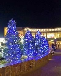 20171205_181229_HDR