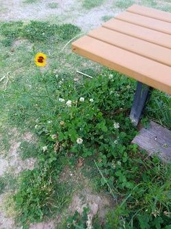 20170611_182722