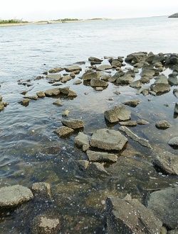 20170611_181142