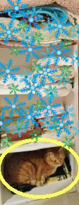 BlogPaint