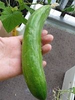 20180723_081329